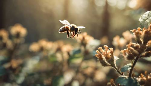 Uma abelha curiosa aproximando-se de uma flor bronzeada no coração de uma floresta densa.