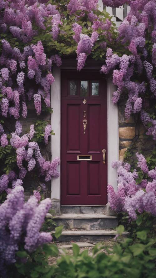 A maroon door of a quaint cottage surrounded by blooming lilacs during spring.