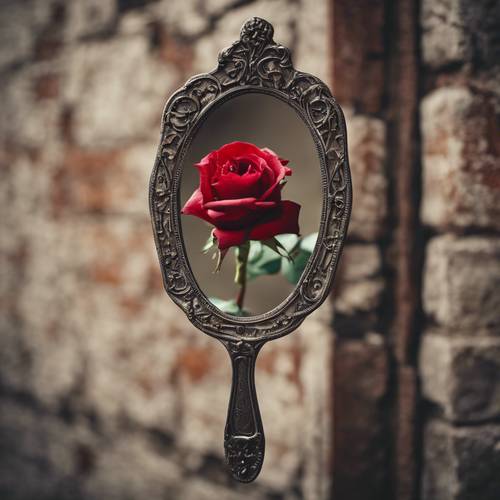 An antique hand mirror reflecting a single red rose against a crumbling wall.