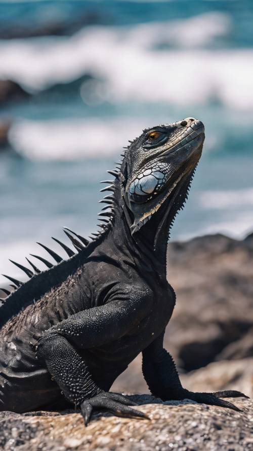 A marine iguana sunbathing on a rocky outcrop amidst a rhythmic lapping of ocean waves.