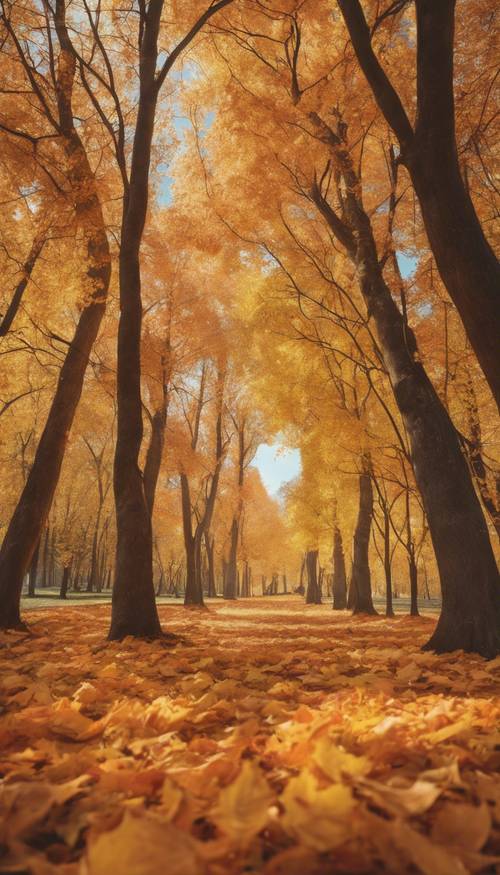Uma paisagem de outono apresentando árvores cheias de folhas laranjas e amarelas.