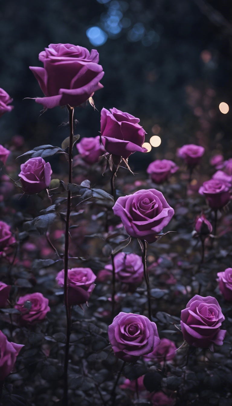 A moonlit dark garden, where roses of deep purples and blacks bloom prolifically.壁紙[3fb9a327f3d84f4e9181]