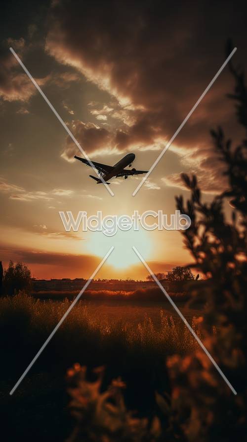 Sunset Sky and Flying Airplane Tapeta [1be6e7a76e1b43649d06]