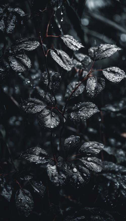 Hutan hitam penuh di tengah derasnya musim hujan, dedaunan gelap berkilau karena tetesan air hujan.