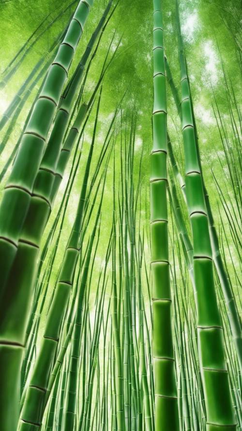 Green bamboo forest shaped into repeating pattern.