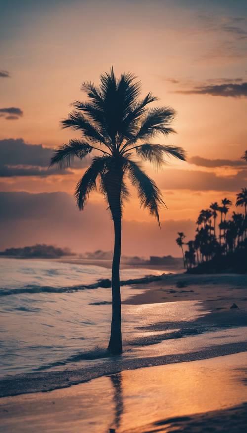 Uma cena de praia de uma palmeira azul exuberante, vibrante e alta sozinha contra um fundo de pôr do sol.