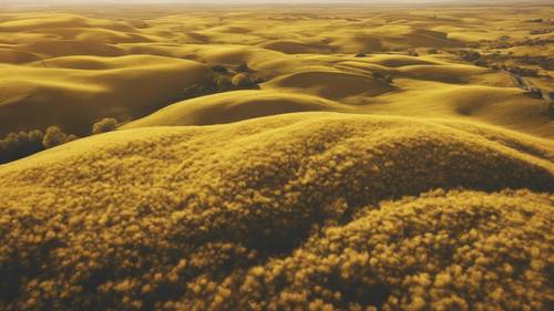 Una vista di una pianura gialla dalla cima di una collina durante una giornata ventosa.