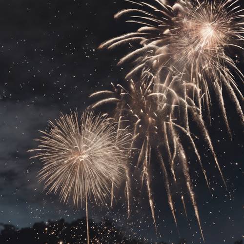 Uma explosão de glitter preto e prateado subindo rapidamente para o céu noturno durante uma espetacular queima de fogos de artifício.