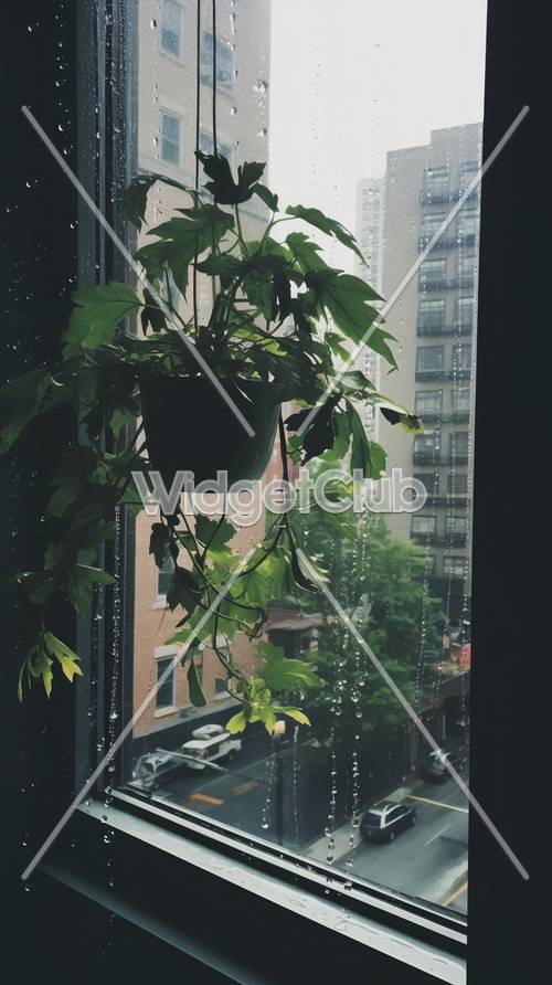 Widok na rośliny w deszczowym oknie