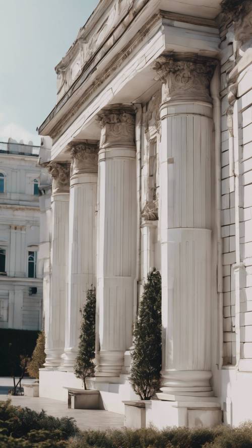 A white neo-classical style building with large marble pillars in the heart of a city. Шпалери [21c3aecc747a47d2924e]