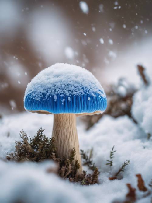 Uma imagem edificante de um cogumelo alegre e arredondado com uma tampa azul brilhante, atravessando um leito de neve fofa.