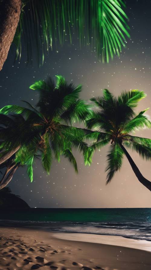 A black sandy beach with emerald green palm trees swaying in the tropical night time breeze.