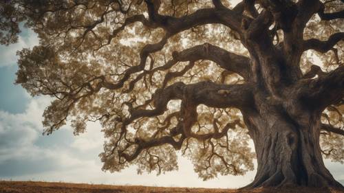 A majestic oak tree standing tall and isolated with 'I am grounded and stable' visible in the thick bark.