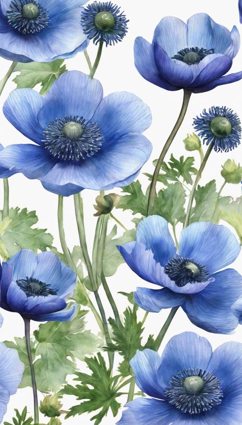 一幅生动的蓝色银莲花水彩画，使其精致的花瓣和花蕊栩栩如生。