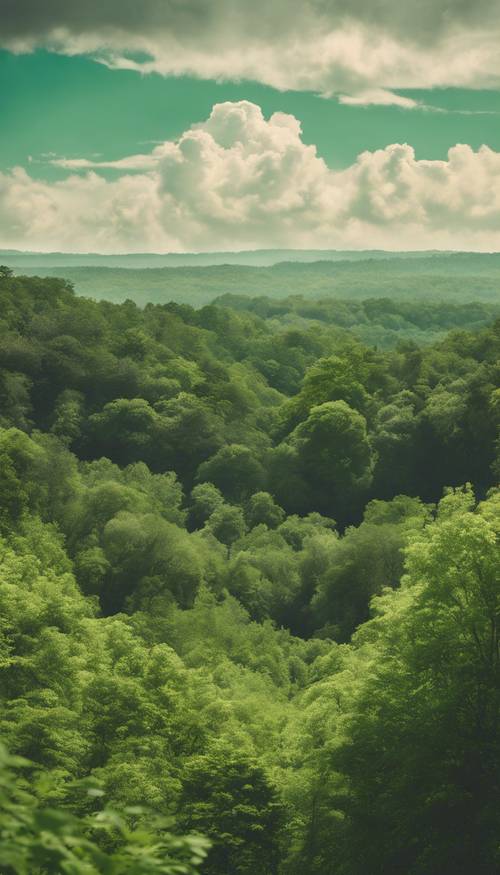 بطاقة بريدية عتيقة تعرض غابة خضراء مورقة تحت سماء مليئة بالغيوم.