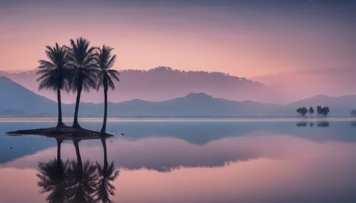 Alacakaranlıkta sakin bir gölün durgun sularına yansıyan yalnız bir palmiye ağacı.
