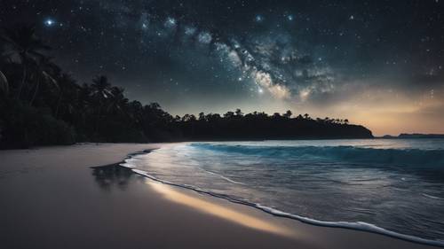 한적한 열대 섬의 별빛 하늘 아래 어두운 검은 해변.
