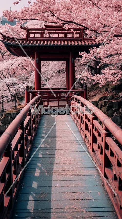 Cerezos en flor en el puente japonés