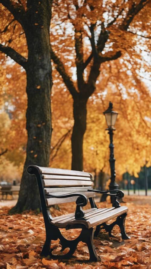 Пустая скамейка в парке, окруженная разноцветными осенними листьями.