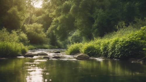 A soothing September nature scene with a babbling brook and lush greenery Wallpaper [a2a147e1aa344c27bb69]