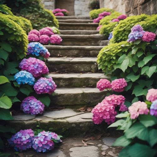 Brightly coloured hydrangeas cascading over old stone steps leading towards a secret garden.