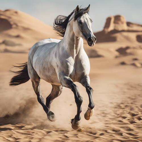 Foto kuda Arab yang megah dan bermata berapi-api berlari kencang melintasi gurun di bawah sinar matahari tengah hari.