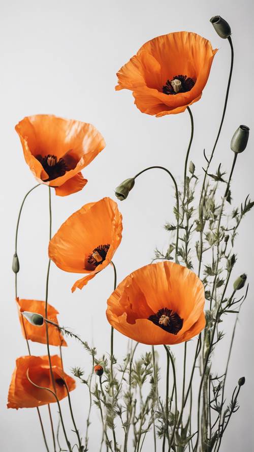 A minimalist floral design with bold strokes of orange poppies against a white canvas.