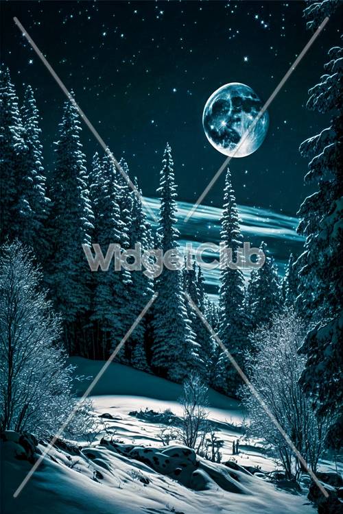 Forêt d&#39;hiver au clair de lune