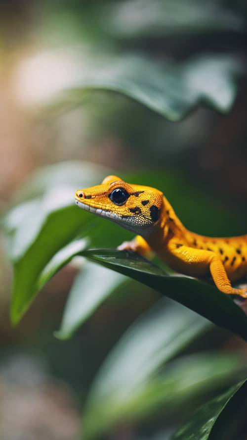A vibrant gekko nestled onto a rare black jasmine in an exotic tropical rainforest.