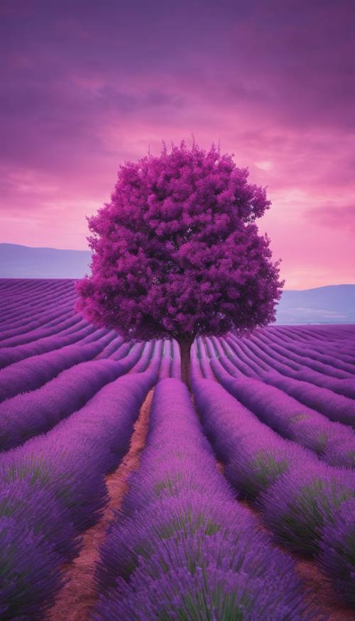 Ein einsamer magentafarbener Baum inmitten eines Lavendelfeldes unter einem düsteren violetten Himmel.