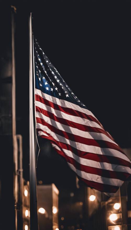 달 없는 밤 아래 칠흑같이 검은 미국 국기의 난해한 풍경.