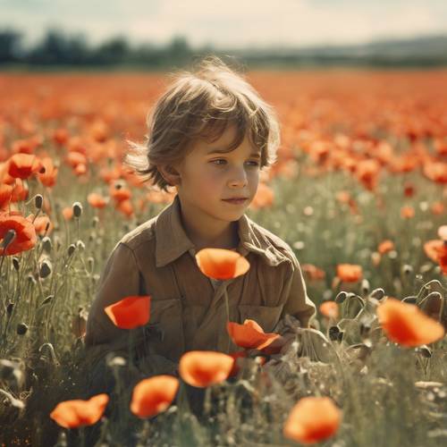 Une photographie vintage jaunie représentant un enfant allongé parmi un champ de coquelicots par une journée ensoleillée.