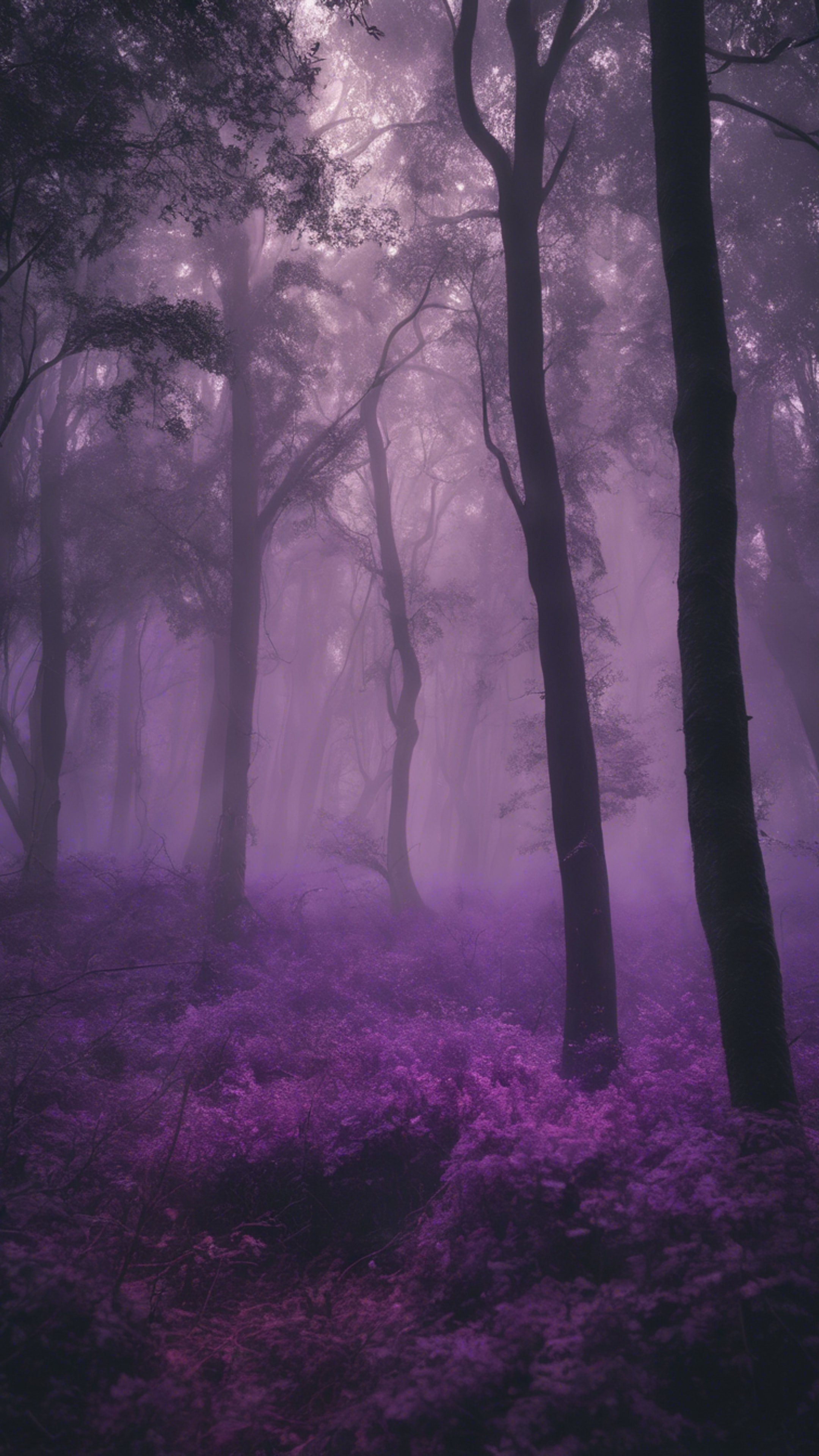 An eerie forest shrouded in a cool dark purple mist. Wallpaper[6dd2a5a50e3c4ca29835]