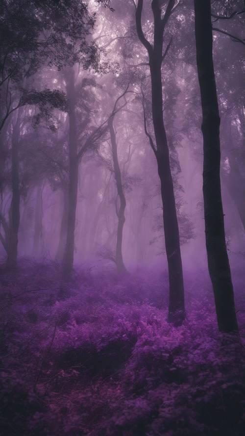 An eerie forest shrouded in a cool dark purple mist.
