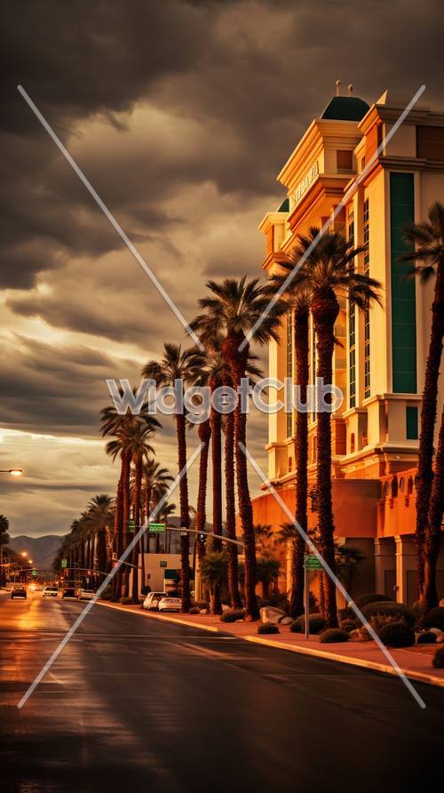 Dramatic Sunset Over Palm Tree-Lined Street