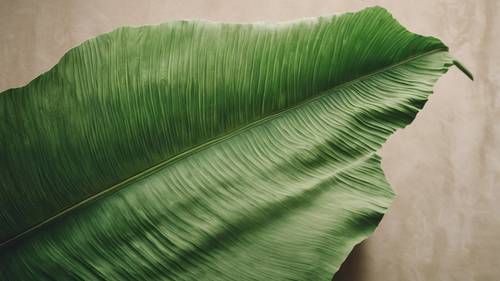지속 가능한 예술의 아름다움을 보여주는 수제 바나나 잎 종이.