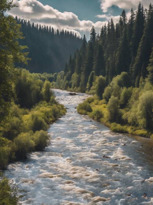 נהר שופע סלמון במהלך נדידתם במעלה הנהר, מוקף בצפייה בדובים ובציפורים.