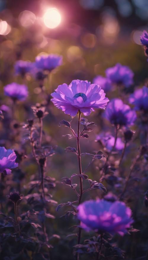 一朵美麗的霓虹紫色花朵盛開，在暮色下閃閃發光。