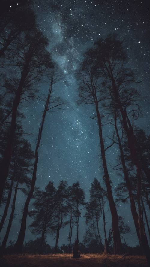 A peaceful starry night over a calm forest, with the quote 'Stars can't shine without darkness' shining in the night sky.