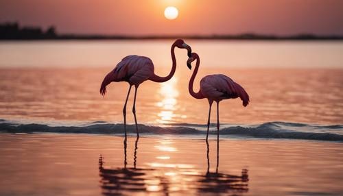 Un couple de flamants roses engagés dans une danse gracieuse sur fond de soleil couchant sous les tropiques.