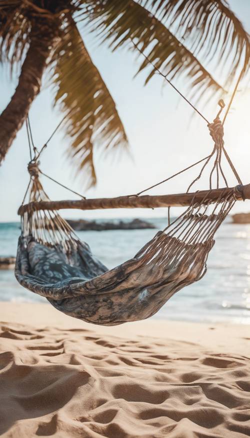A comfy-looking tie-dyed hammock swinging gently between two beach palms.