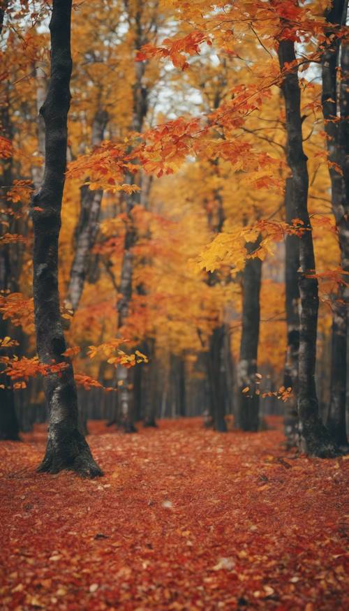 Hutan musim gugur yang lebat dan cerah dengan dedaunan oranye, merah, dan kuning berjatuhan dari pepohonan.