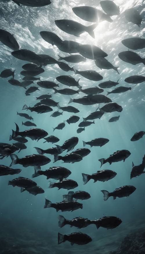 Ławica czarnych ryb płynących płynnie pod szybkim prądem podwodnym.