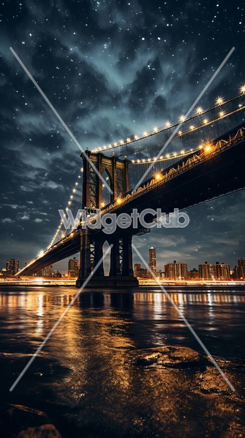 市の橋の上に輝く夜空