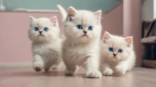 Un duo vivant de chatons persans Colorpoint blancs poursuivant avec détermination un pointeur laser sur un mur de salon aux couleurs pastel.