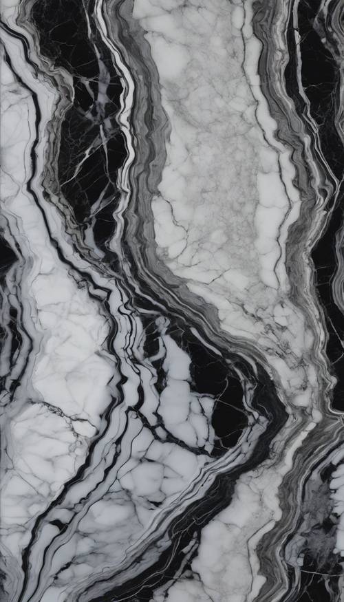 Marmo nero con intricate venature bianche in un motivo ad alta risoluzione.