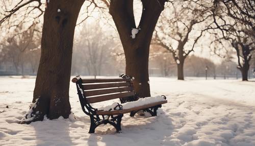 A lonesome park bench blanketed in snow, under a leafless tree.