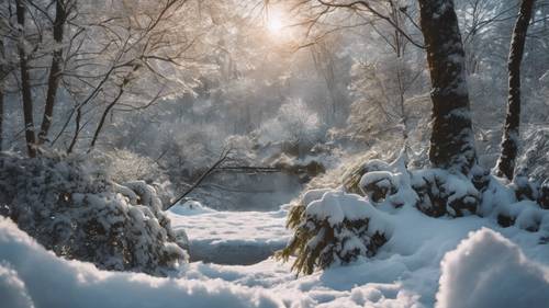 Ein iPhone XS, auf dessen Sperrbildschirm ein schneebedeckter Wald angezeigt wird.