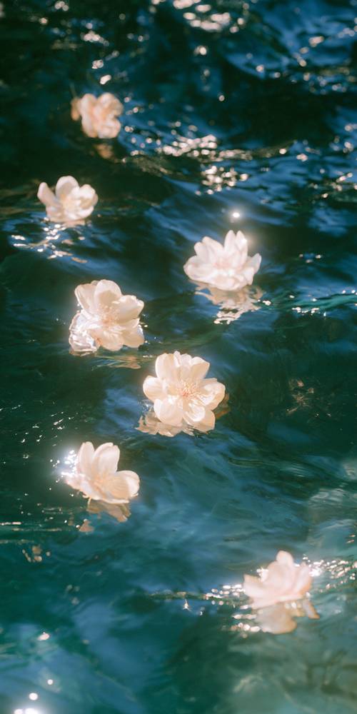 Wallpaper [e041a17f882f468989d4]