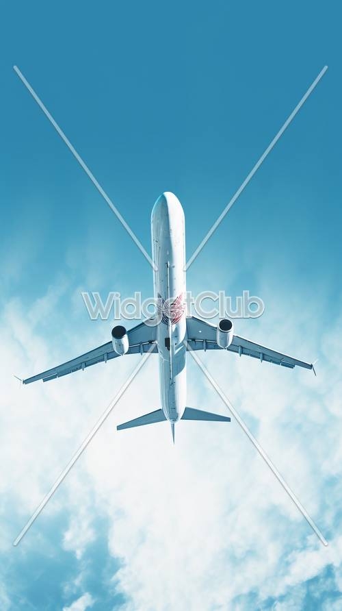 Sky High Airplane Flight Wallpaper[8a360f0a22384b958486]